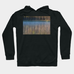 Forest reflecting to small lake at morning Hoodie